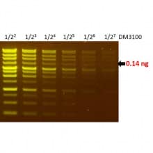 NS1000 Sensitivity of FluoroVue